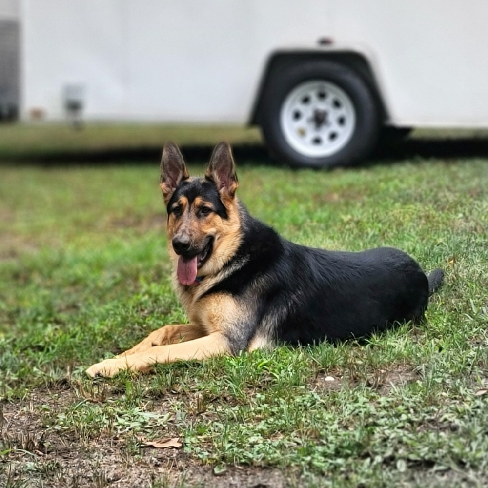 Meet your Posher, Alicia